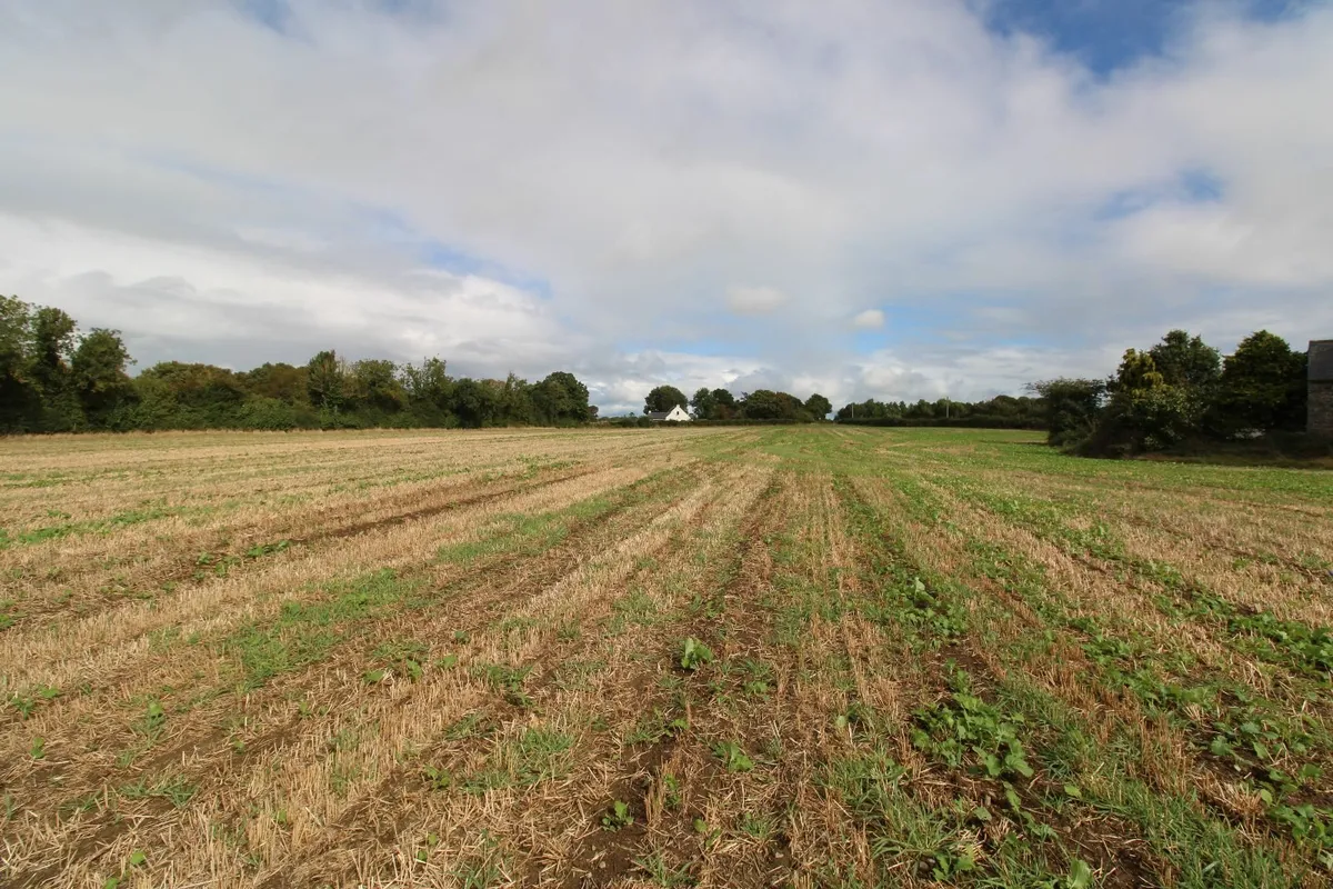 Lands - Image 4