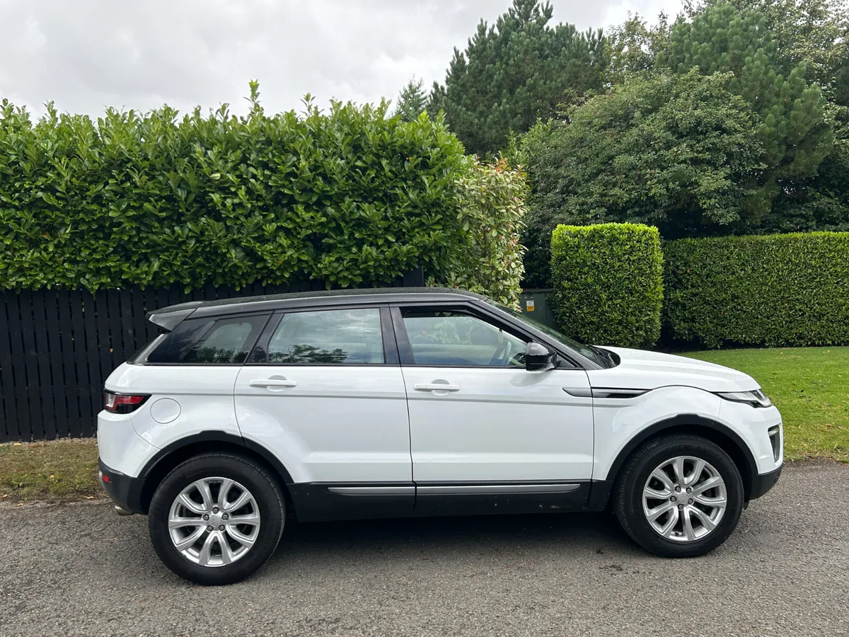 2016 Land Rover Range Rover Evoque 2.0 TD4 Low Km - Image 2