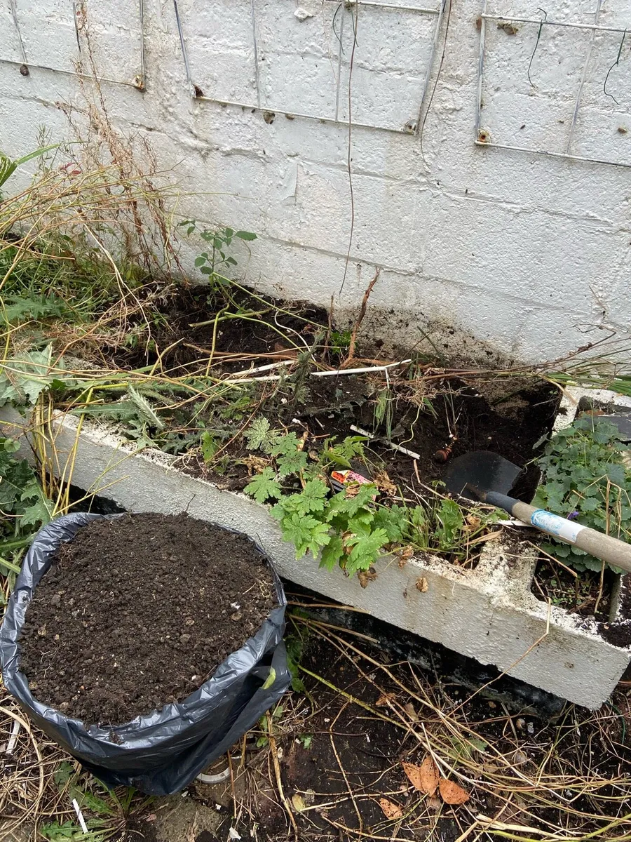 Free garden soil - Image 3