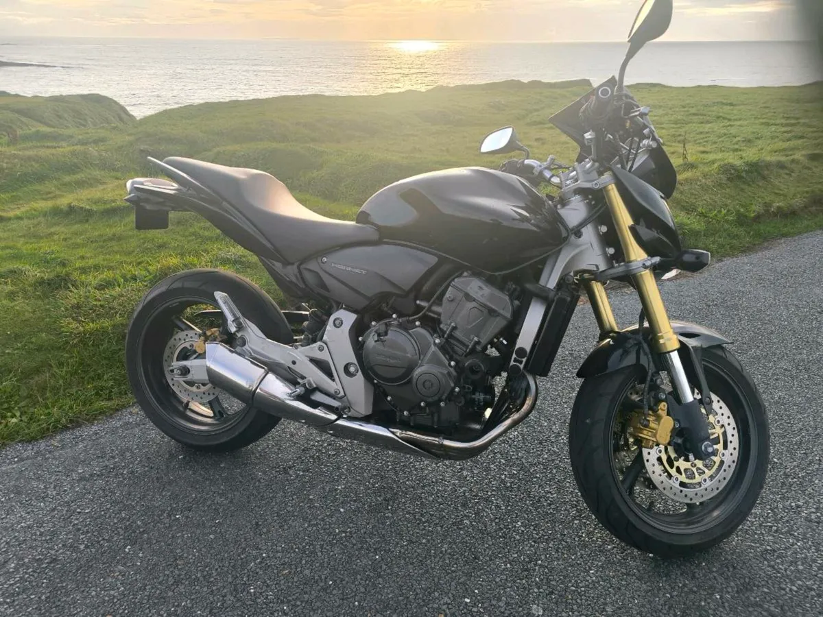 Honda Hornet - Image 2