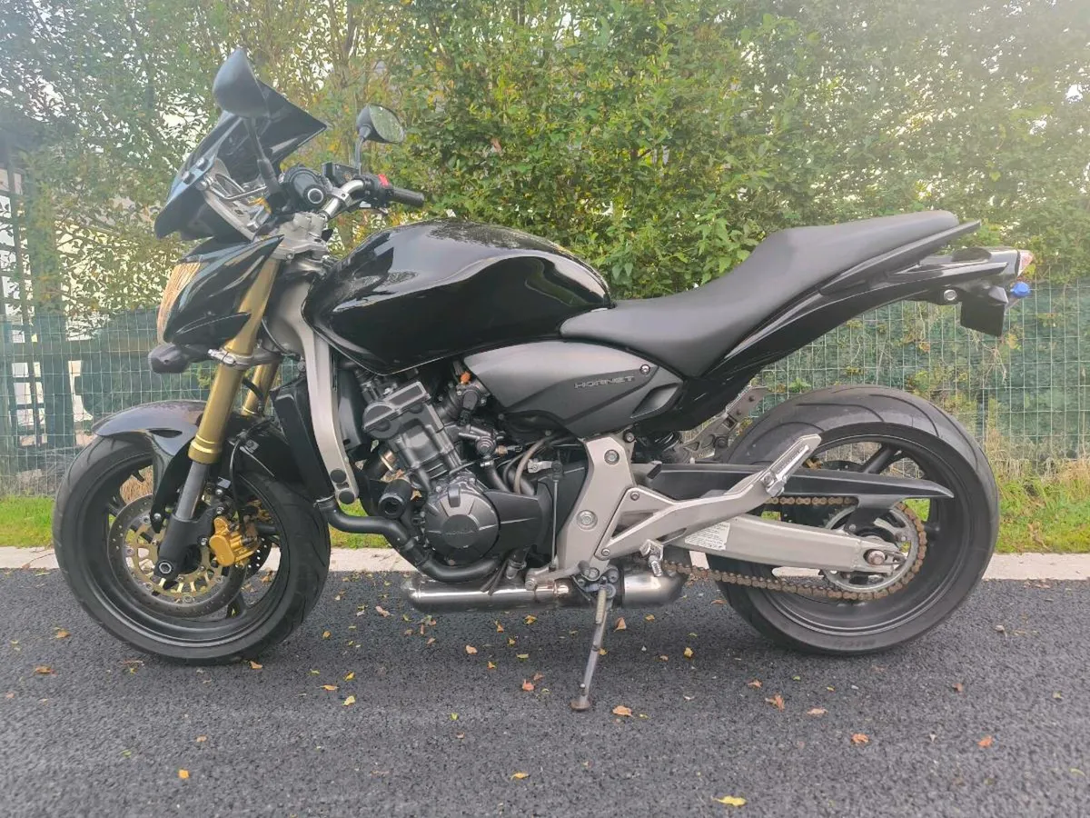 Honda Hornet - Image 3