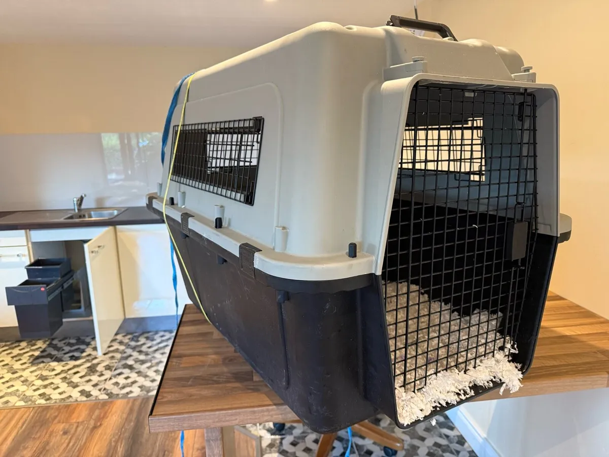 XL Dog Kennel/ Carrier / Transport Box - Image 1