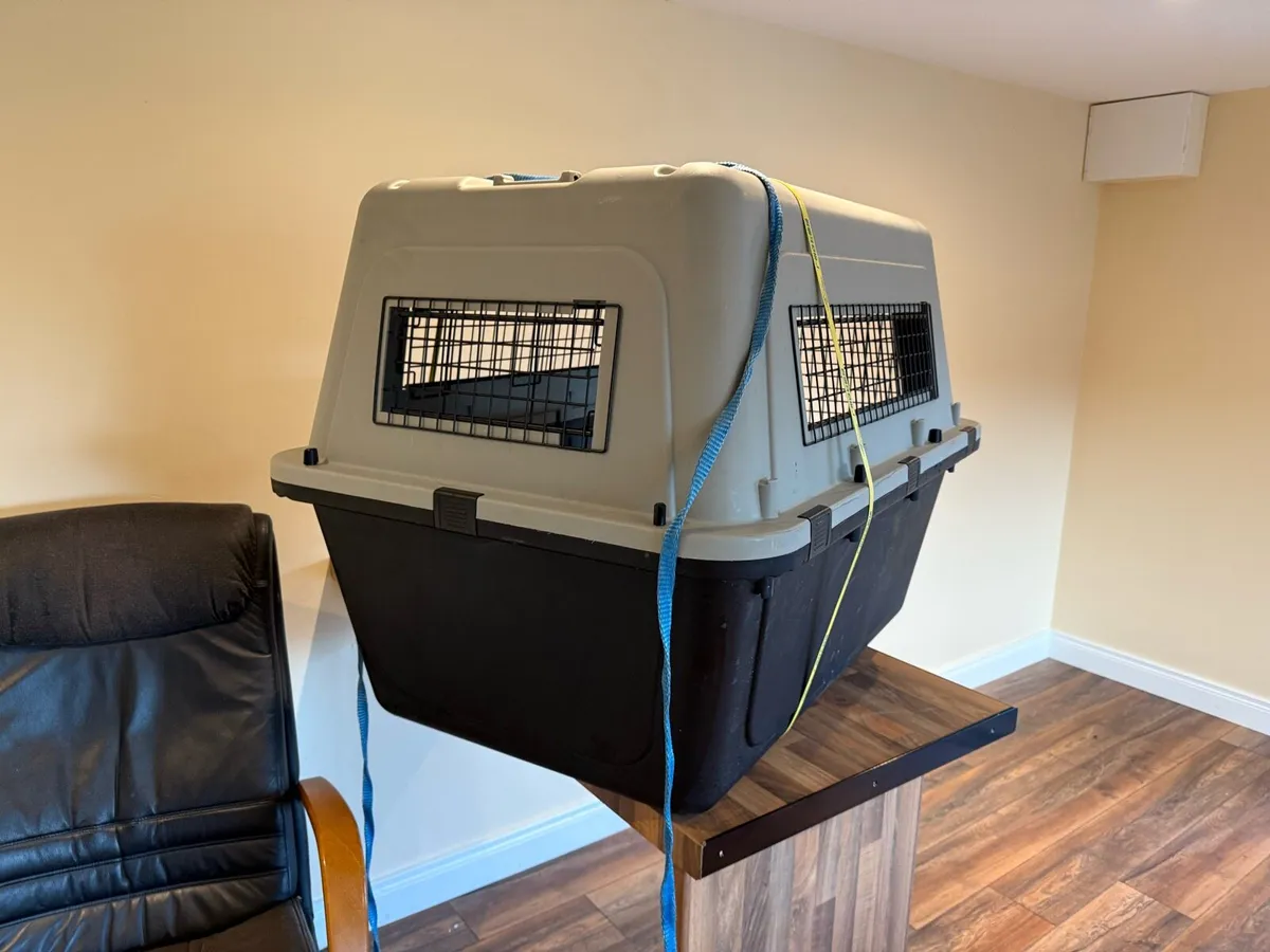XL Dog Kennel/ Carrier / Transport Box - Image 2
