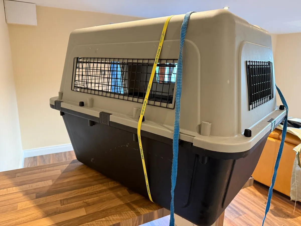 XL Dog Kennel/ Carrier / Transport Box - Image 3