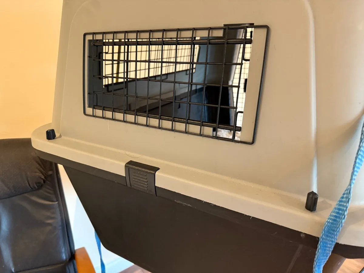 XL Dog Kennel/ Carrier / Transport Box - Image 4