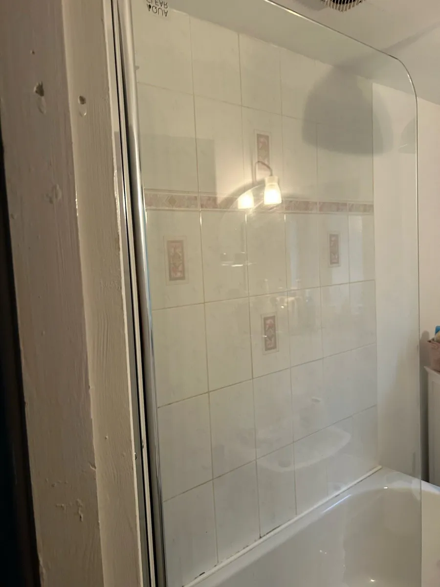 Shower Door - Image 1