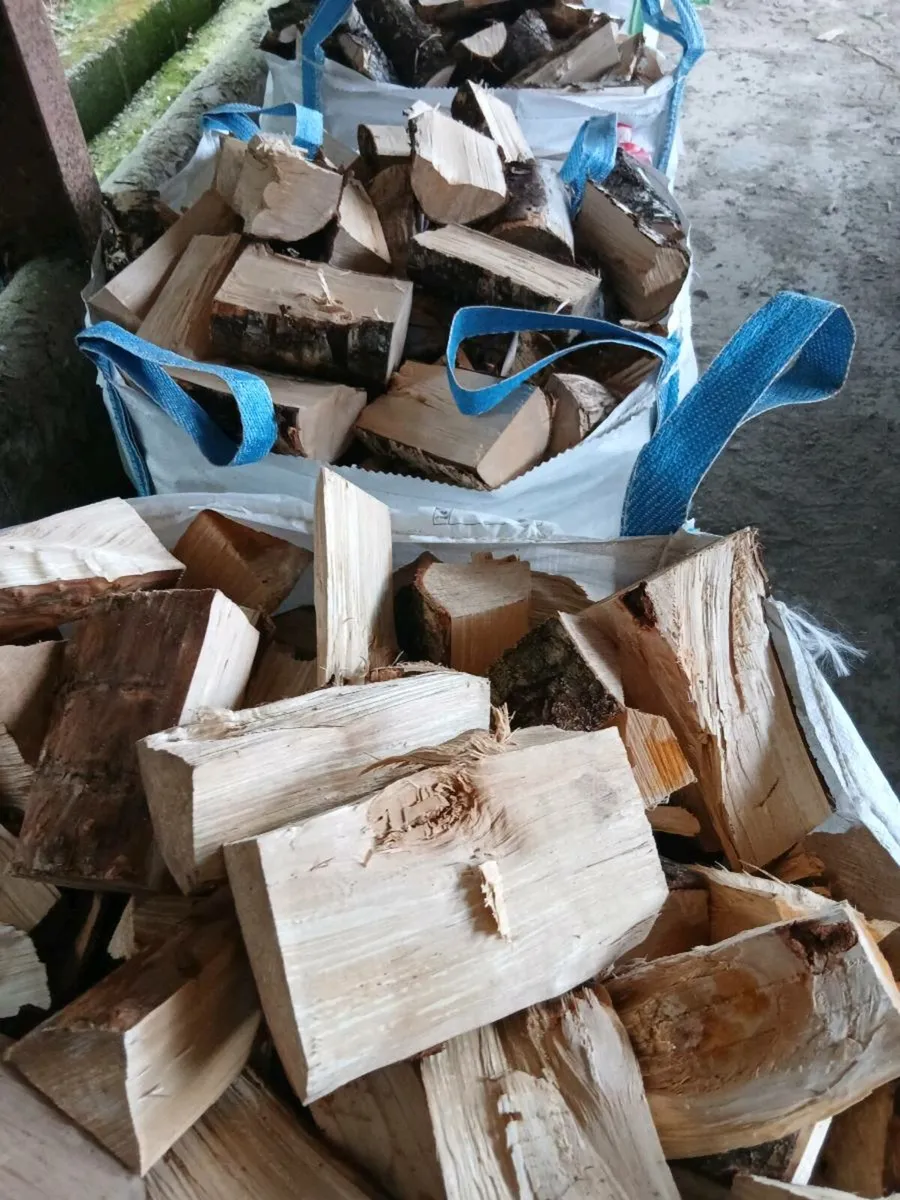 Firewood - Image 1