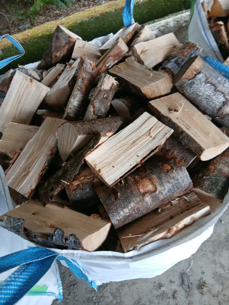Firewood - Image 2