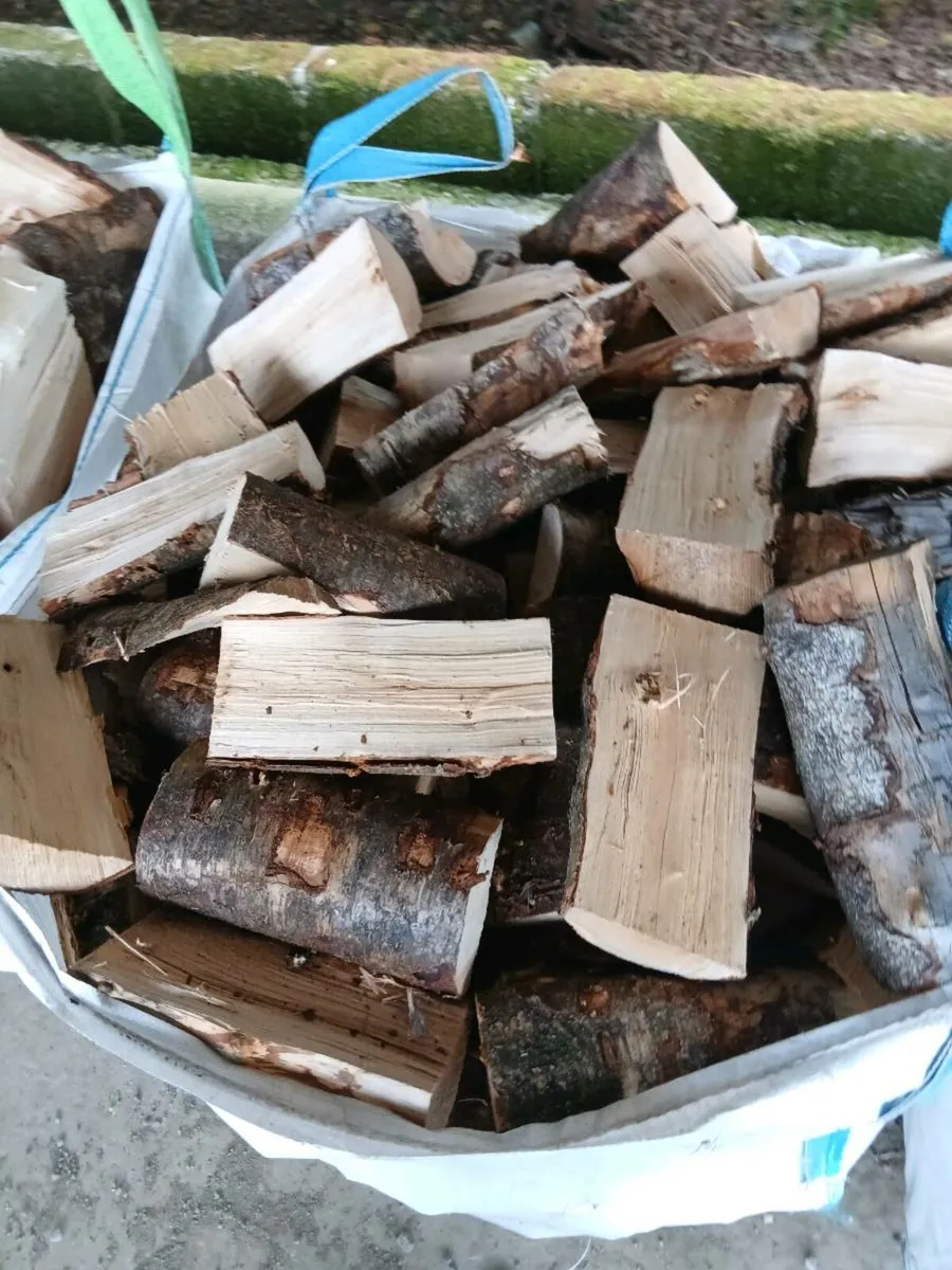 Firewood - Image 3
