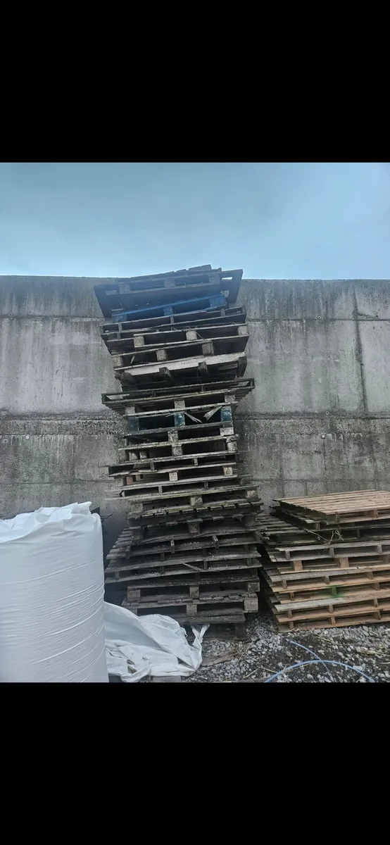 Pallets for firewood - Image 1
