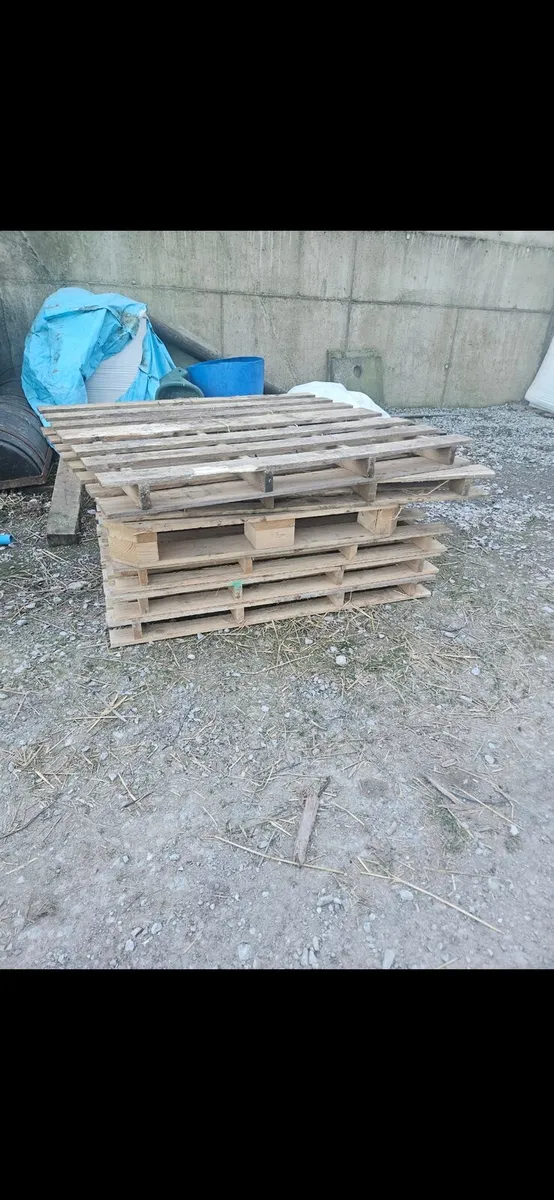 Pallets for firewood - Image 2