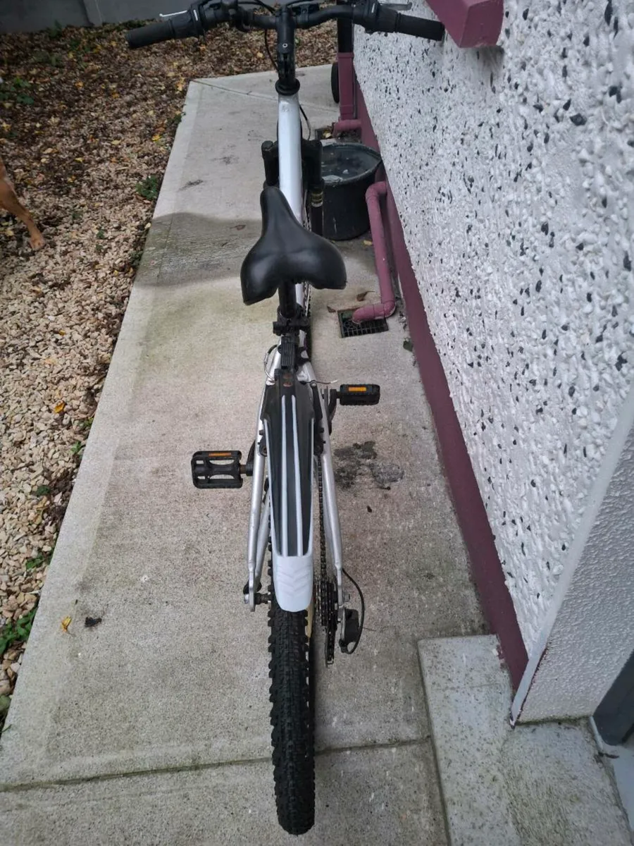 Ladies Bicycle - Image 2