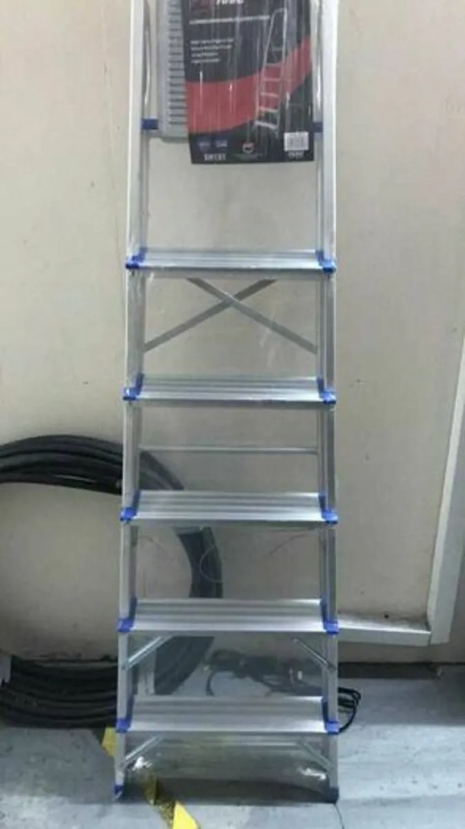 6 Step Ladder