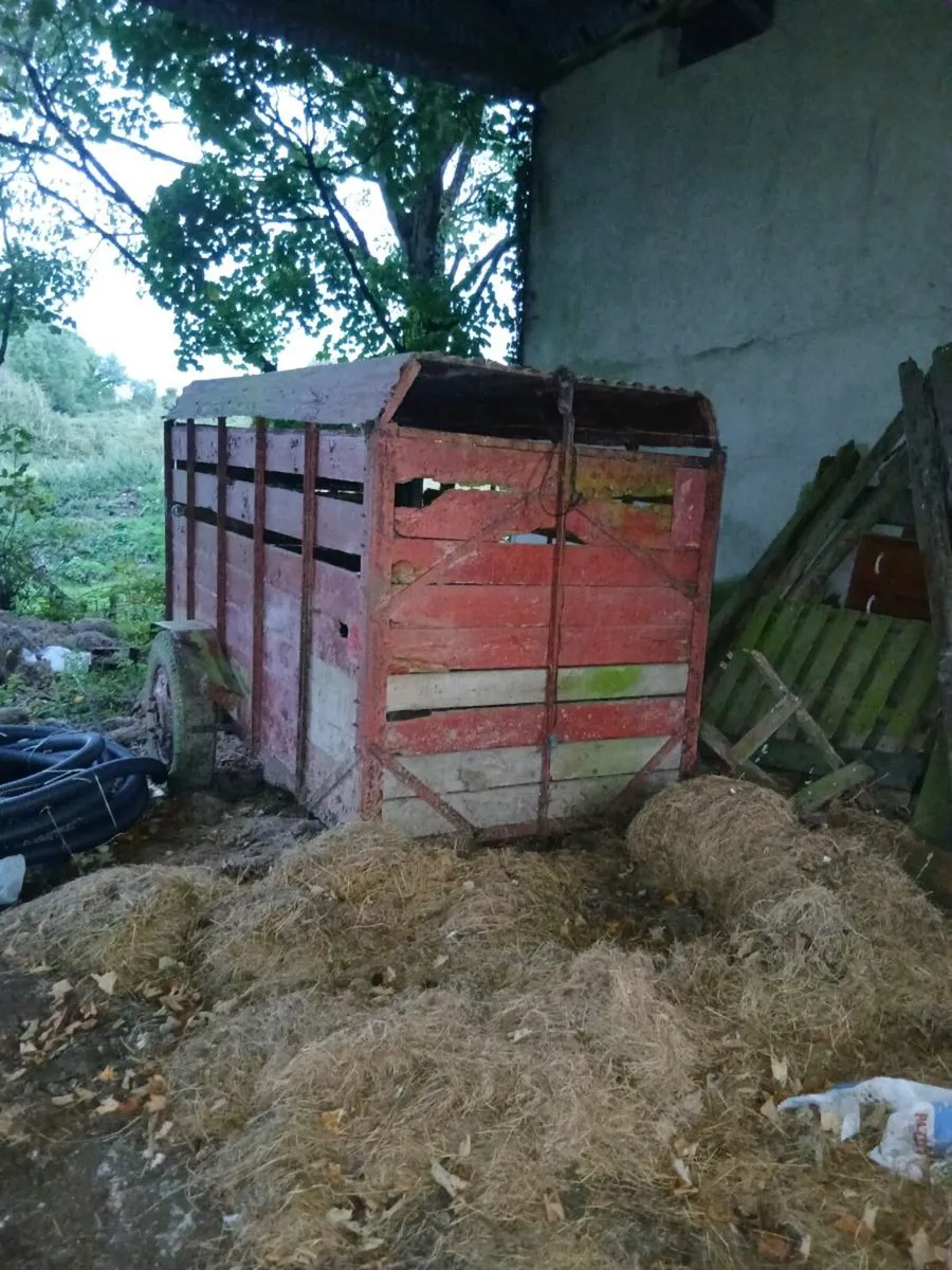 2 cow trailer buy 1 get 1 free - Image 1