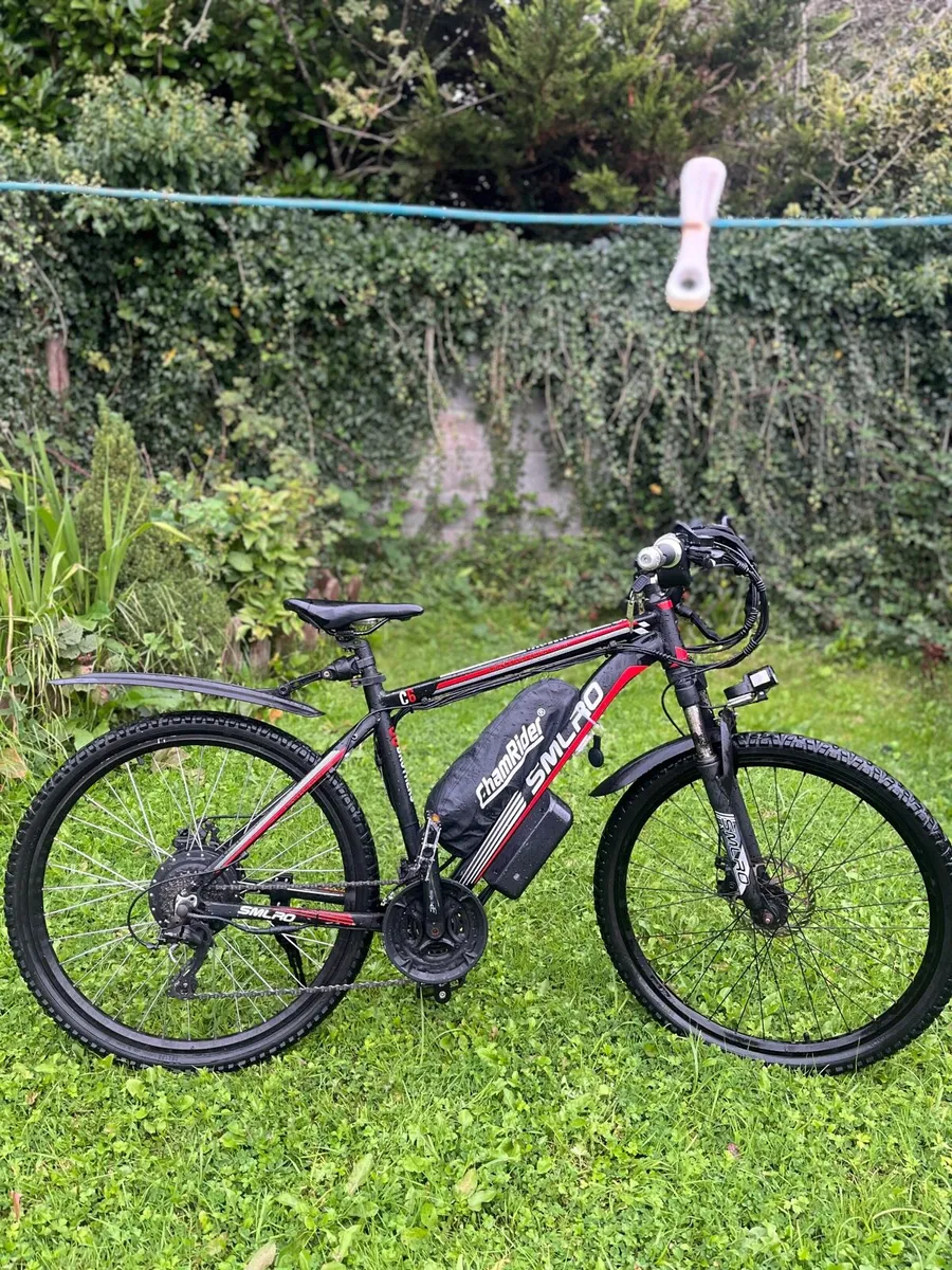 Electric bike - Image 1