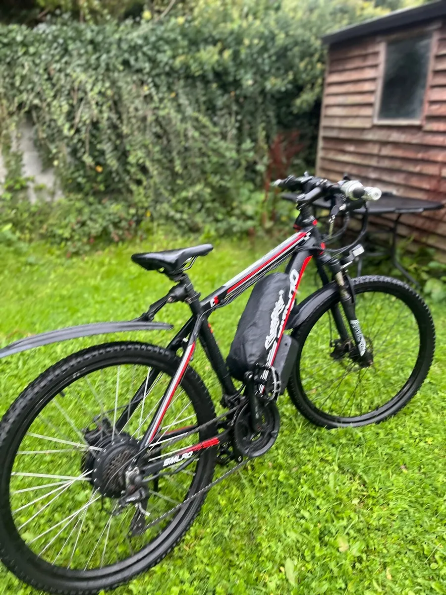 Electric bike - Image 2