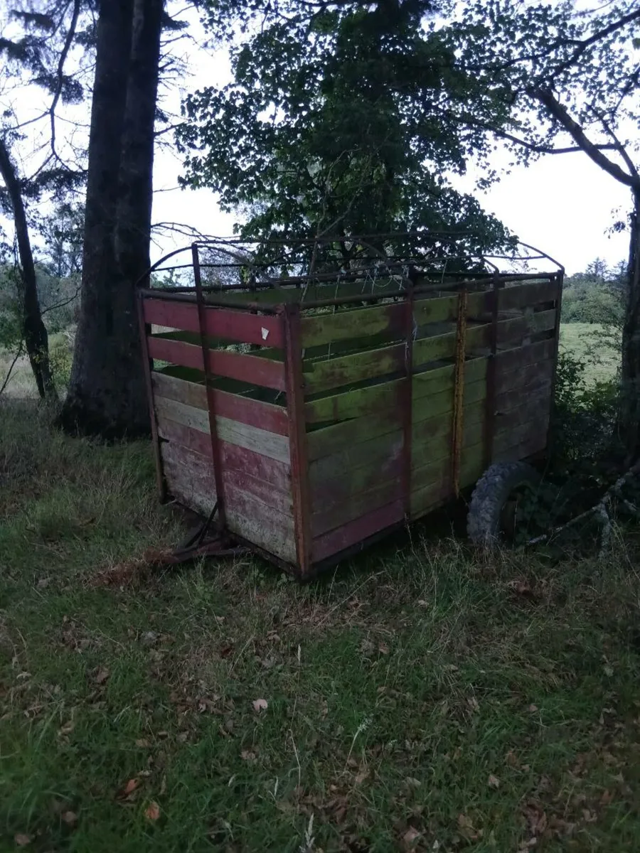2 cow trailer buy 1 get 1 free - Image 3
