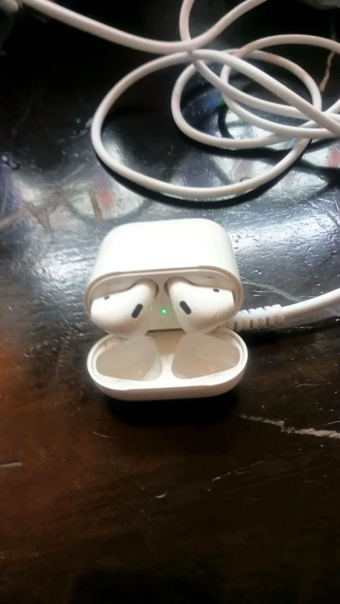 Earpods - Image 1