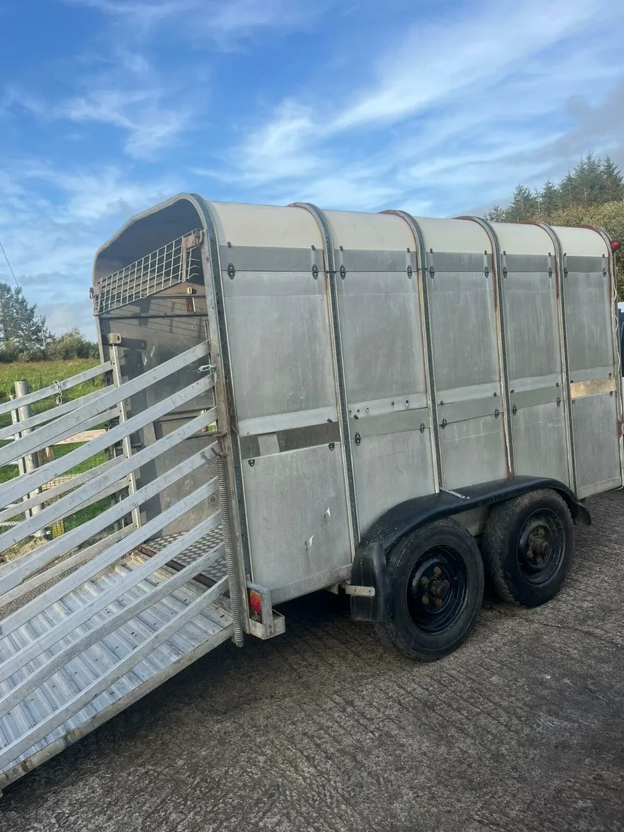 Ifor Williams 10x5 - Image 4