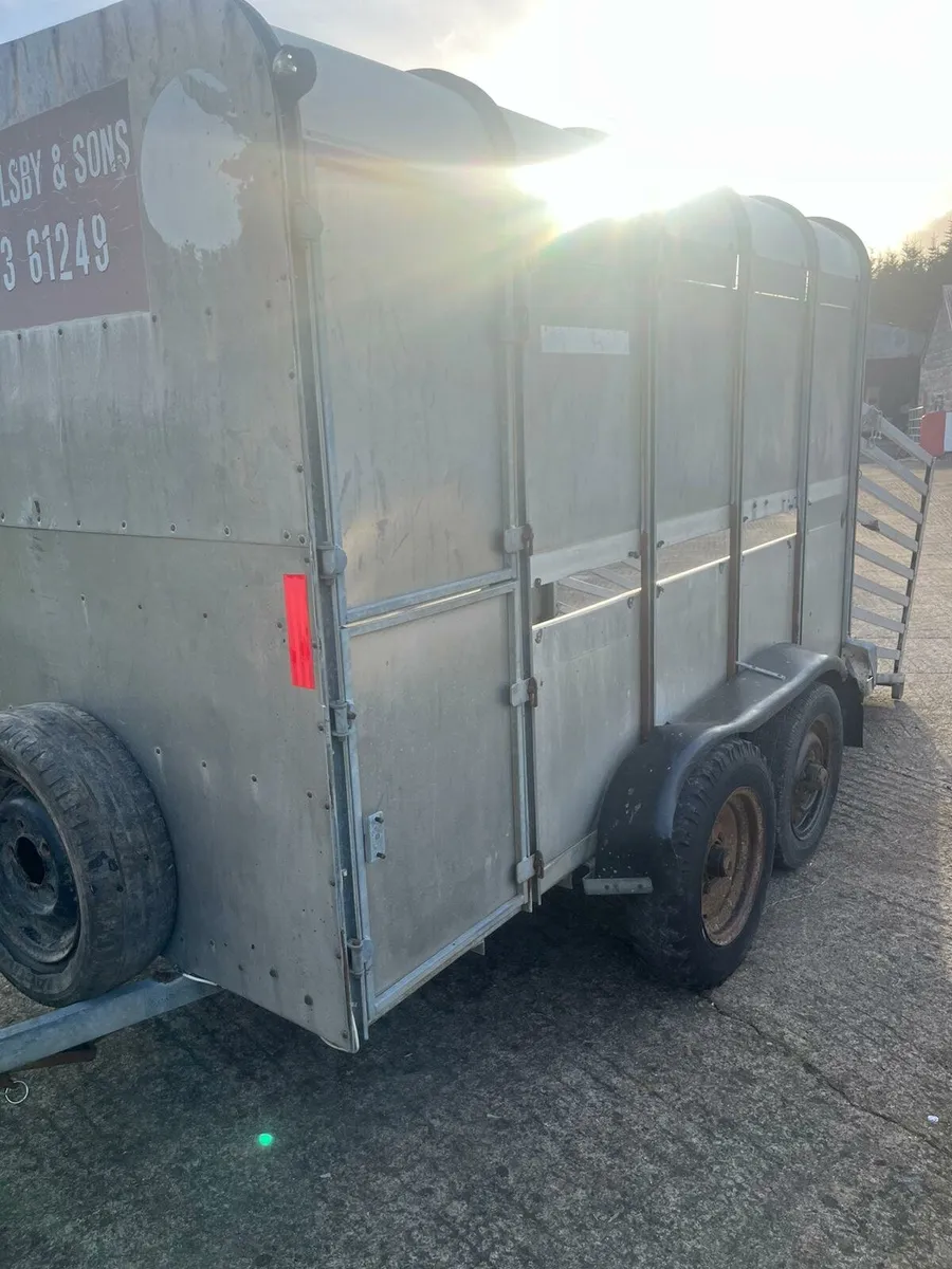 Ifor Williams 10x5 - Image 2