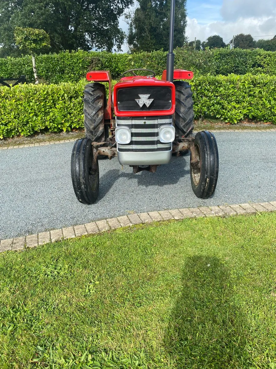 Massey Ferguson 135 - Image 3