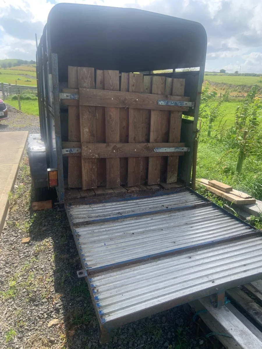 Cattle trailer - Image 3