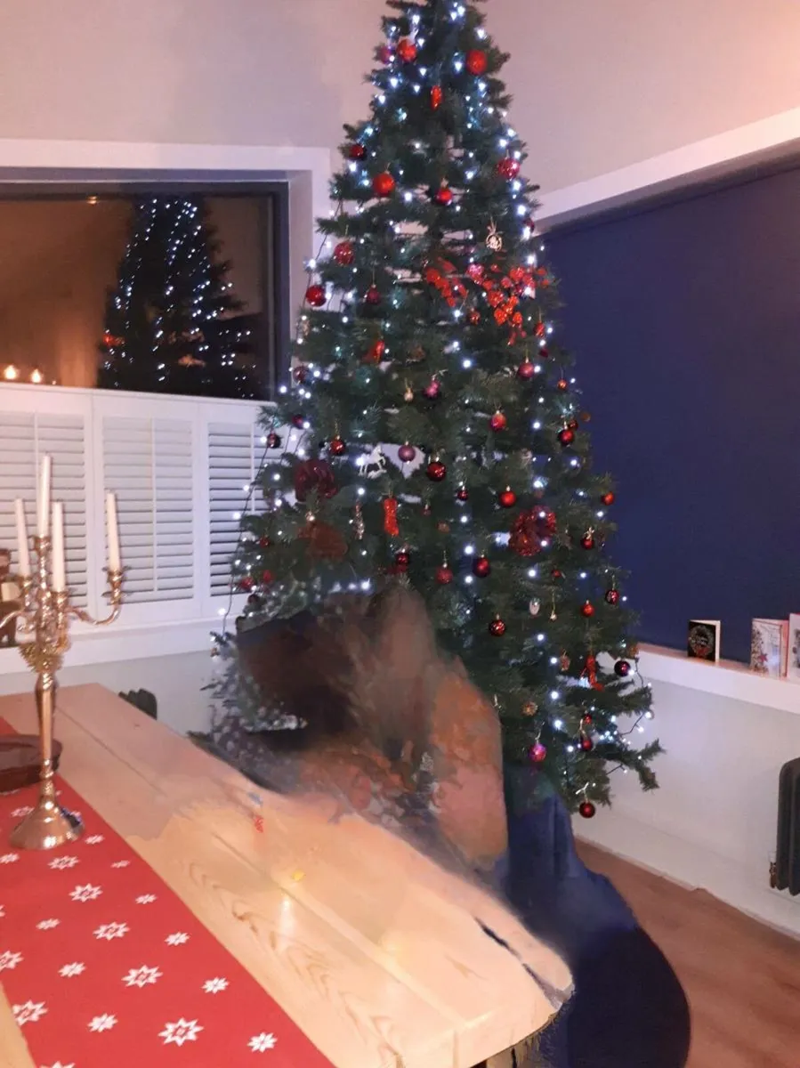 12 ft Christmas Tree - Image 3