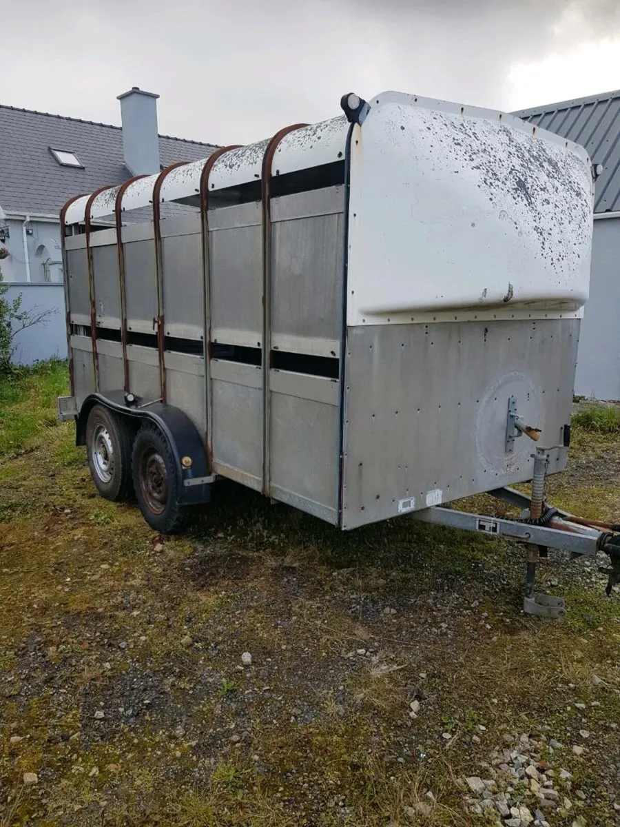 Ifor Williams - Image 1