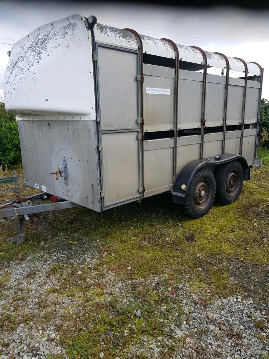 Ifor Williams - Image 4