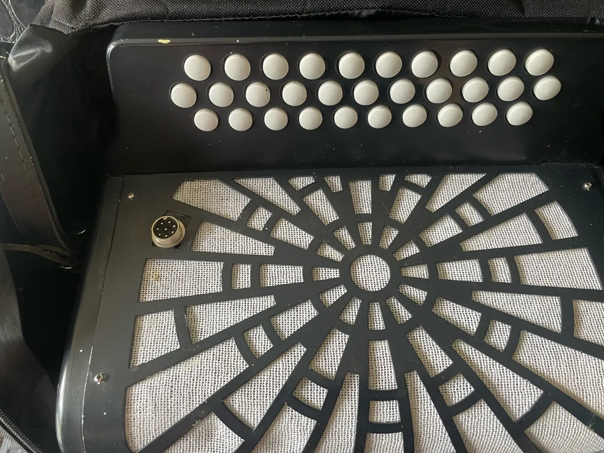 Accordion - Image 2
