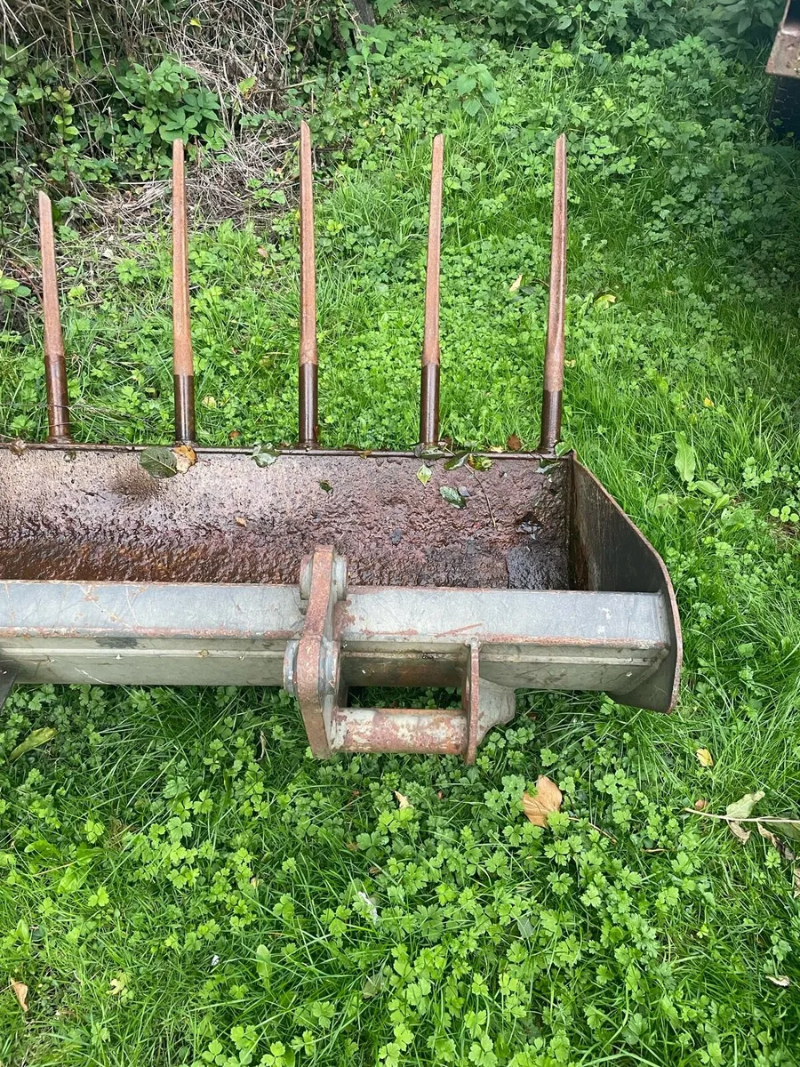 Dung forks - Image 2