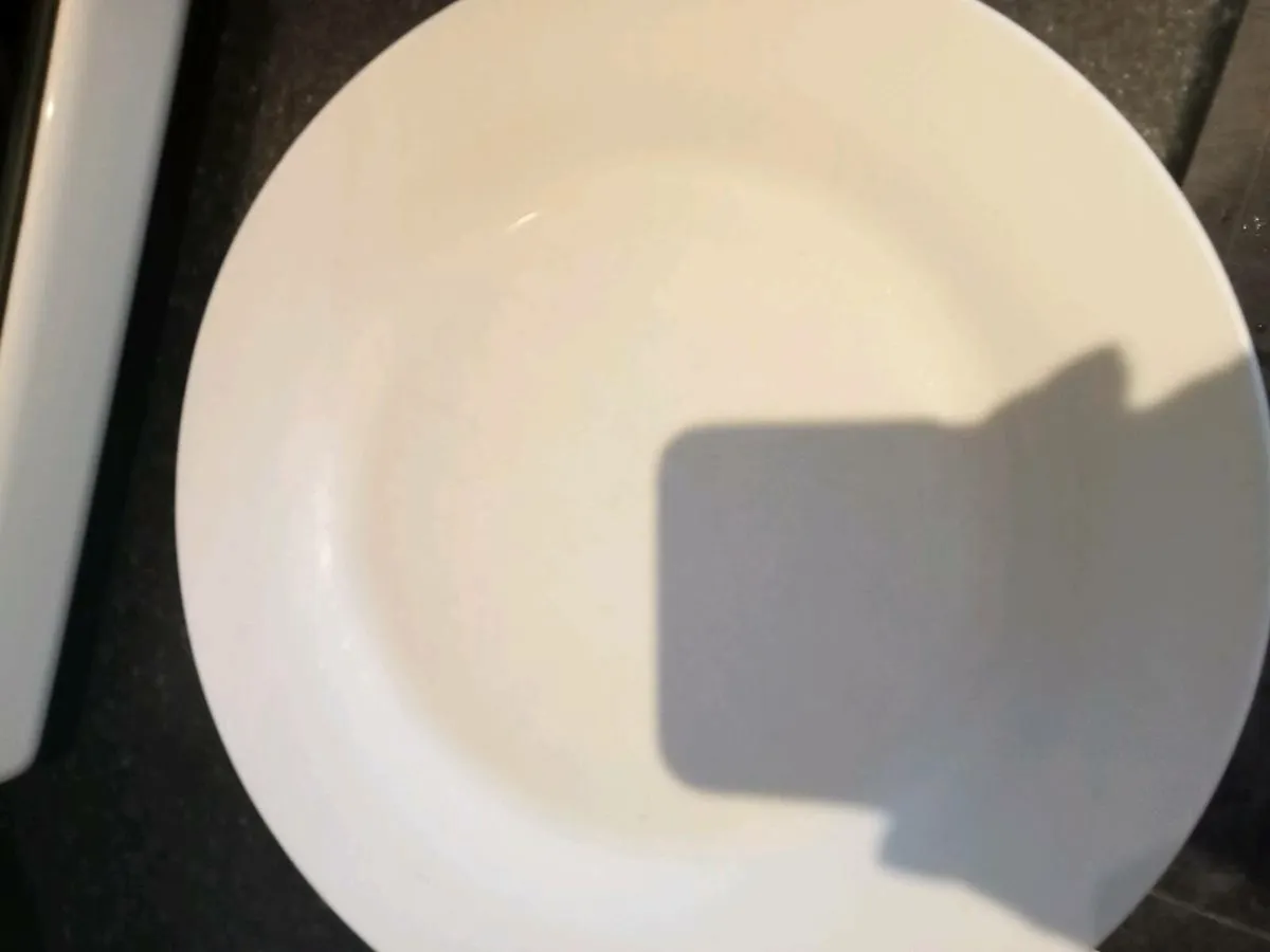 Dinner plates and saucers free to take - Image 2