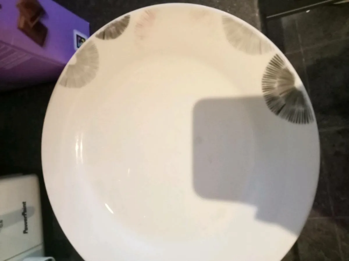 Dinner plates and saucers free to take - Image 3