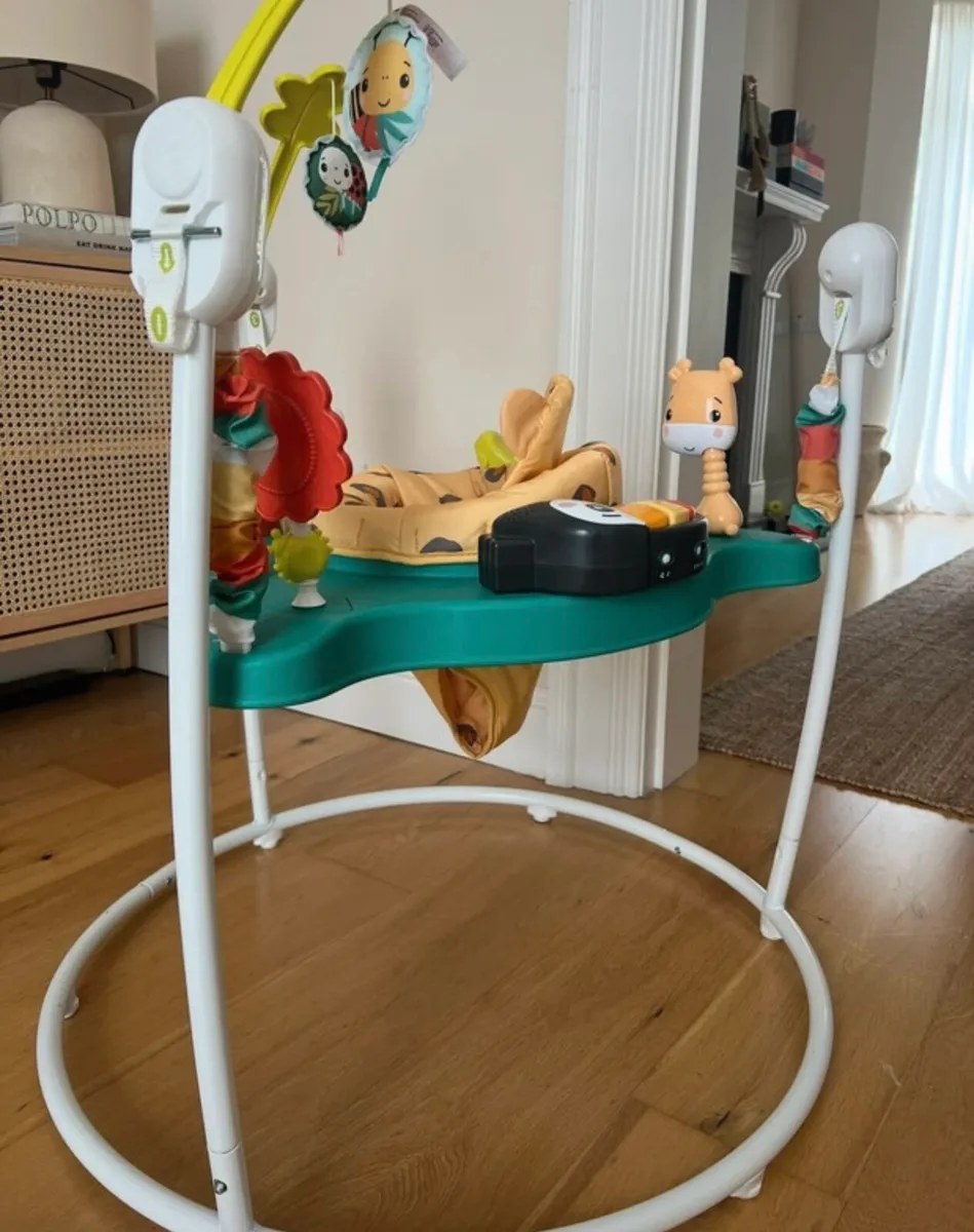 FisherPrice Jumperoo - Image 1