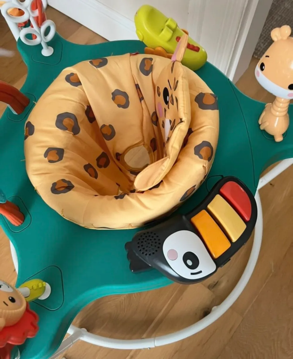 FisherPrice Jumperoo - Image 2