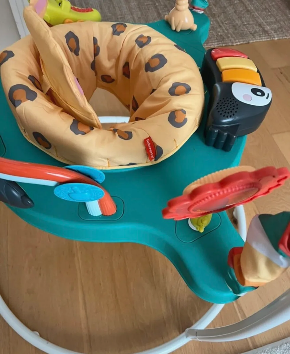 FisherPrice Jumperoo - Image 4
