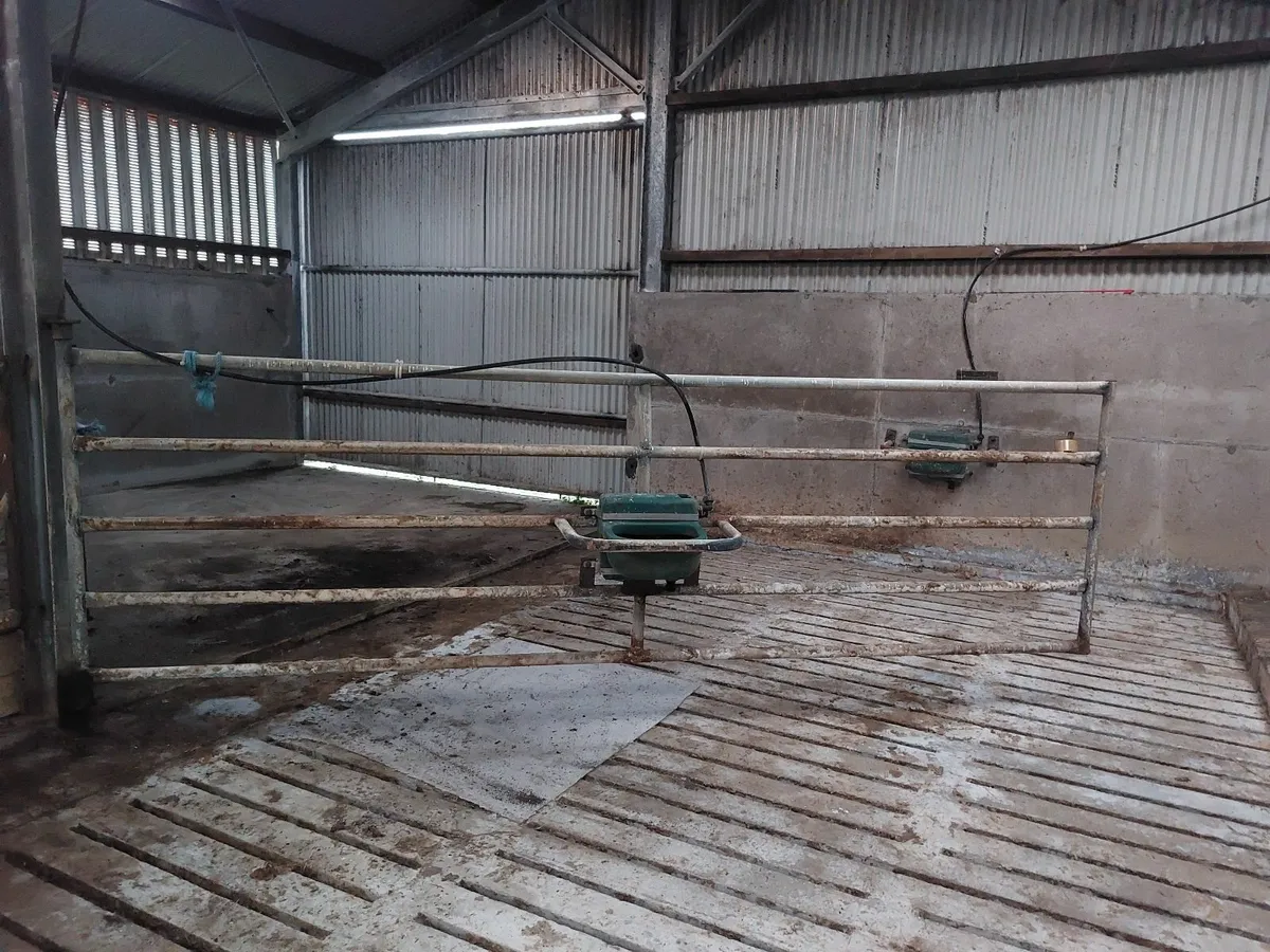 Slatted shed gates. - Image 2