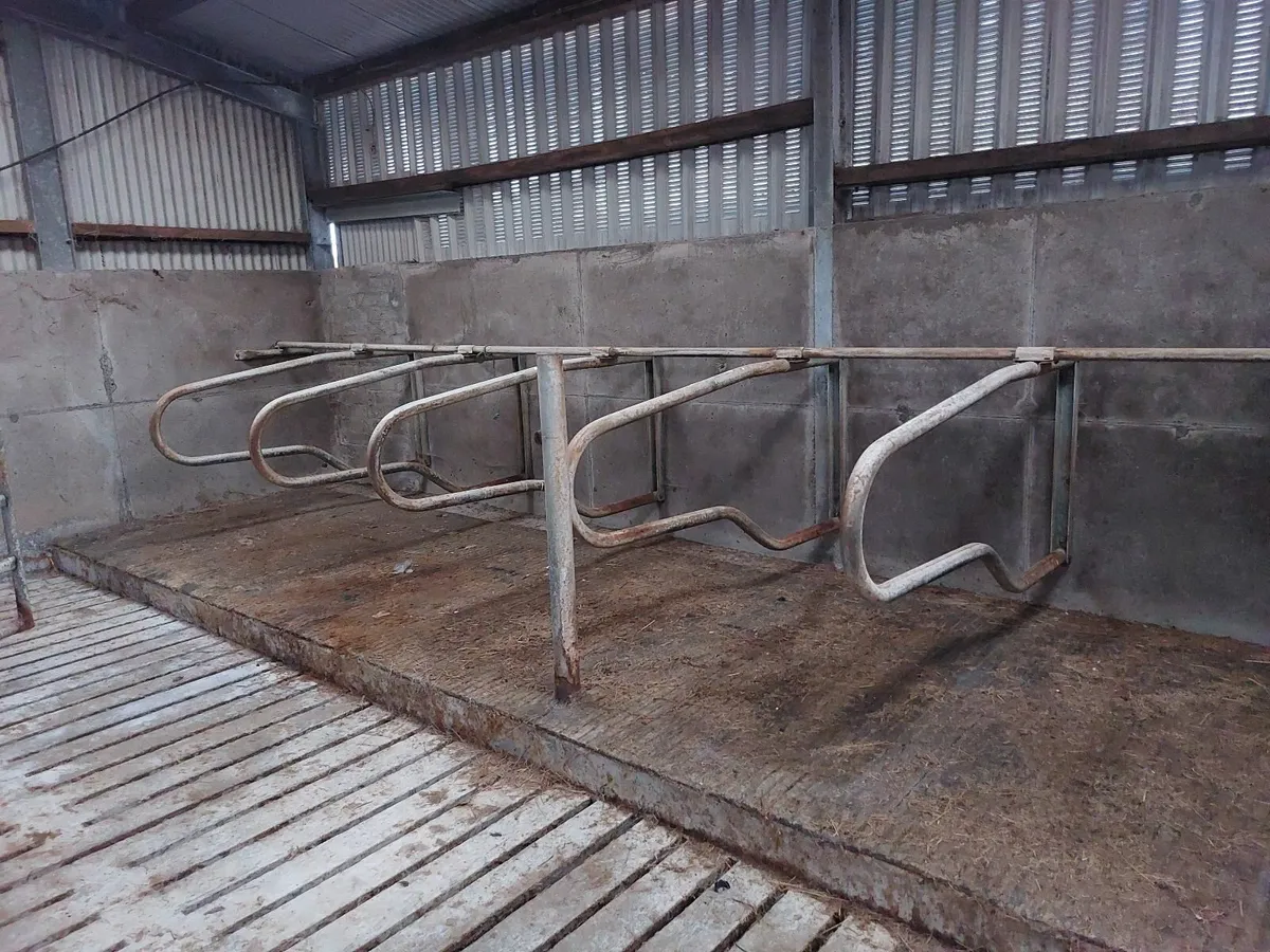 Slatted shed gates. - Image 3
