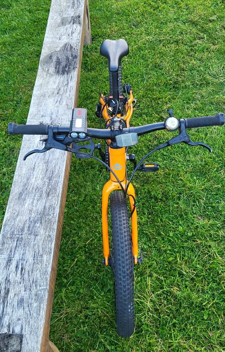 Bike - Image 2