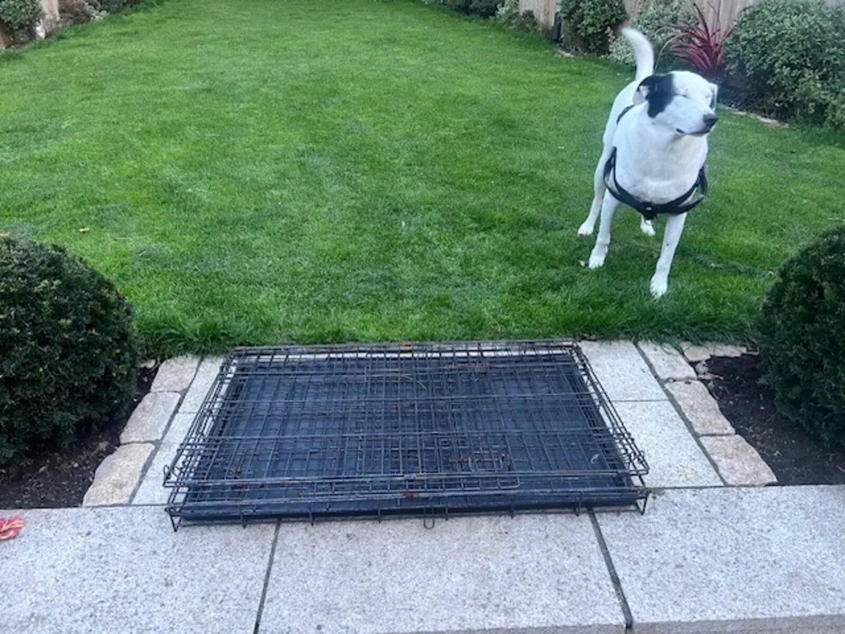 Dog cage for large dog- foldable - Image 3