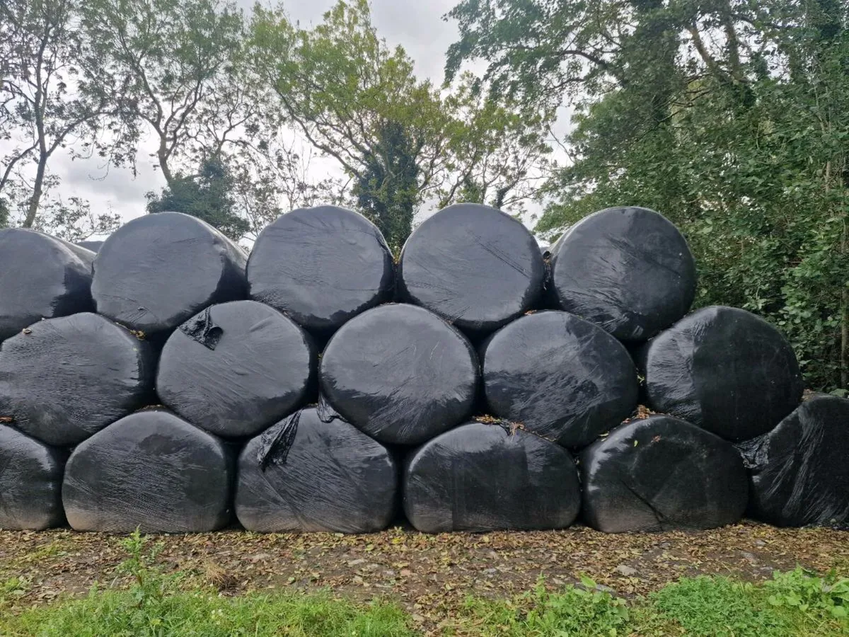 Round Bales - Image 2