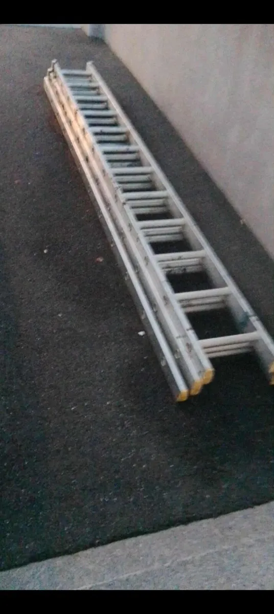 Ladder