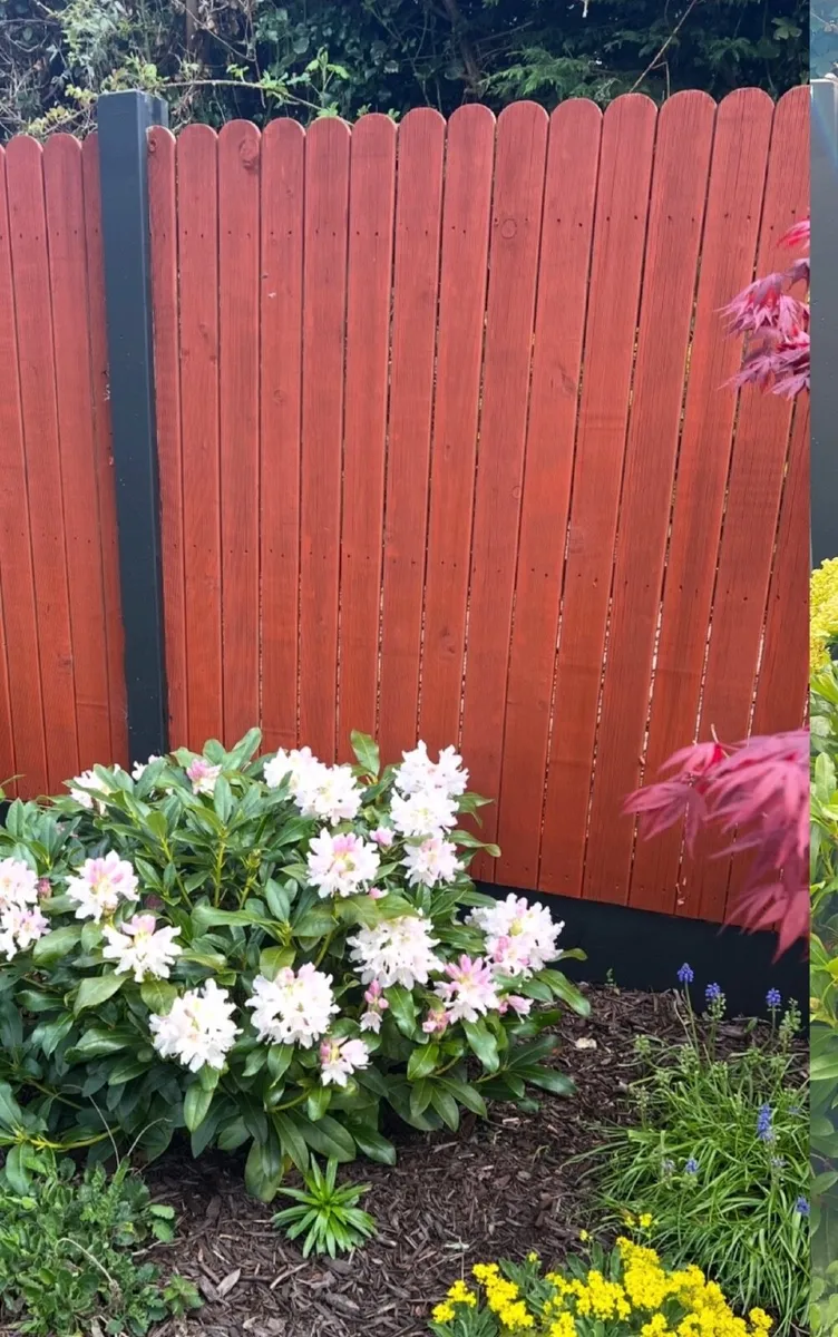 Wooden garden panels 6f W 5f H - Image 1