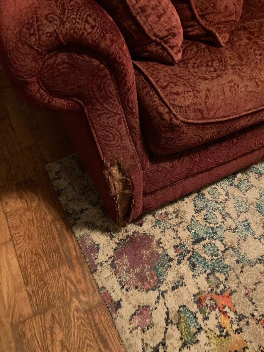 Finline 3 seater couch - Image 2