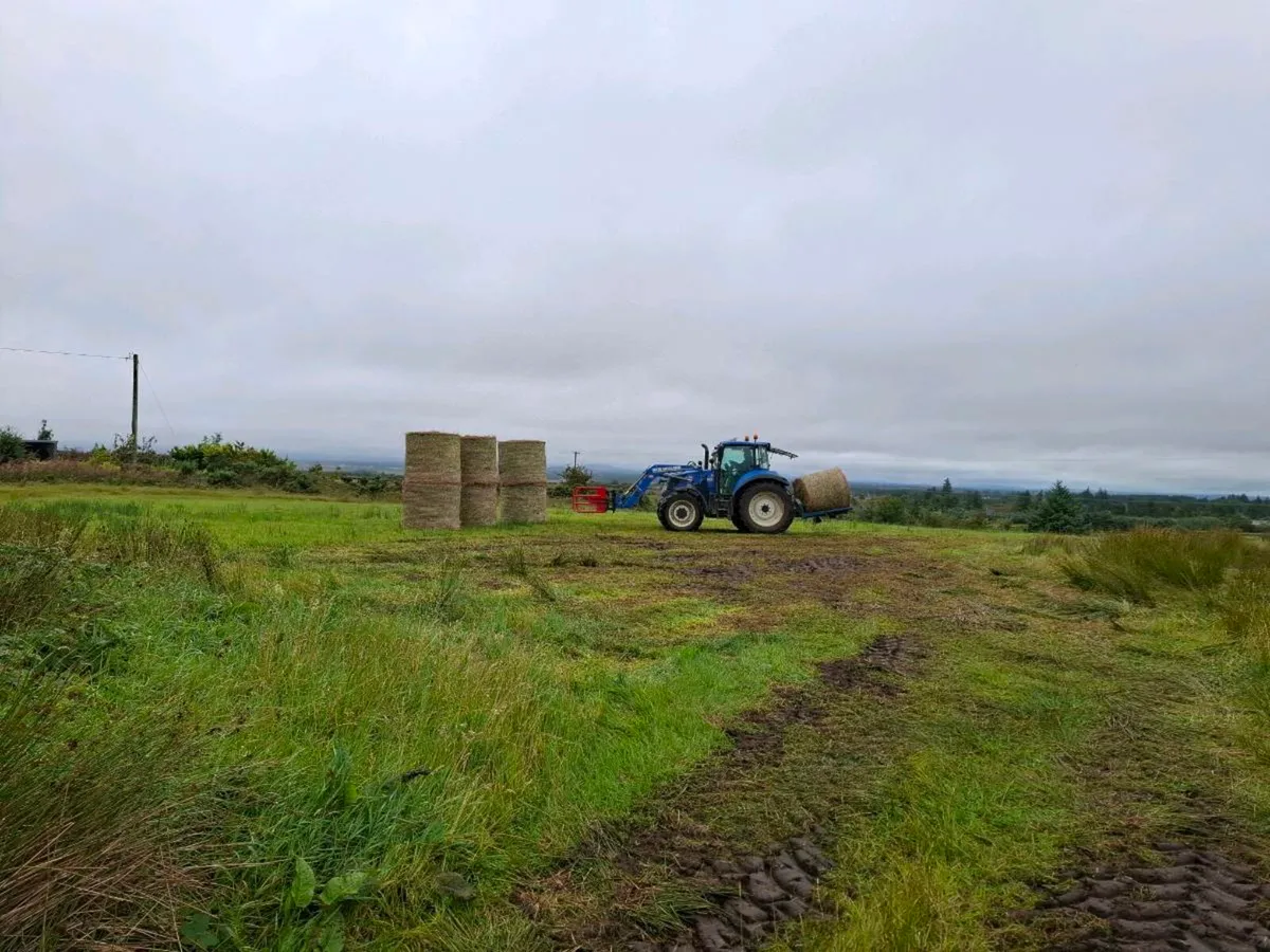 Organic Bedding Bales - Image 1