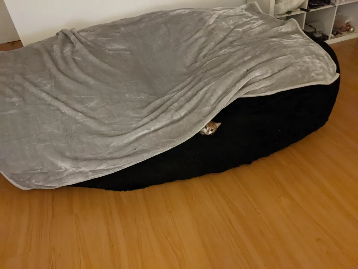 GIANT Bean Bag - Image 2