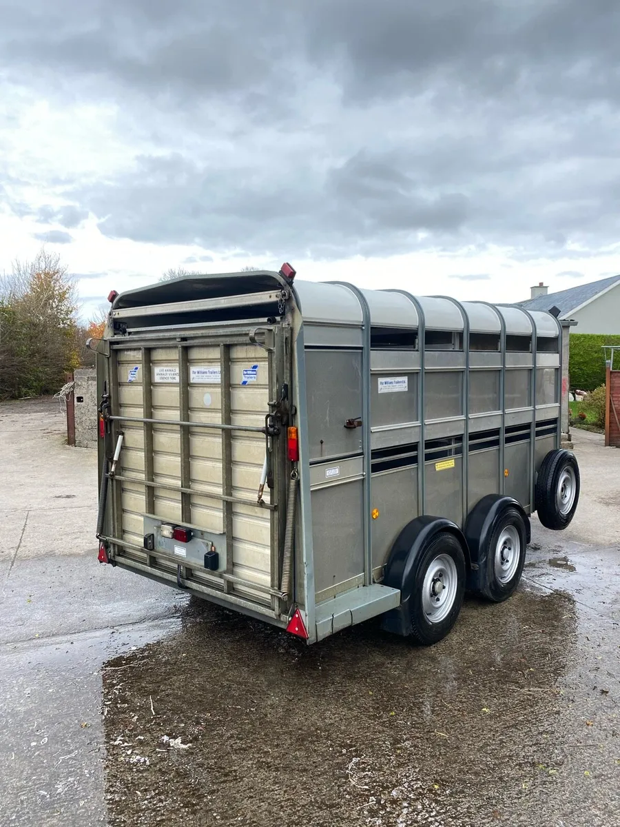 Ifor Williams Sheep Trailer - Image 4