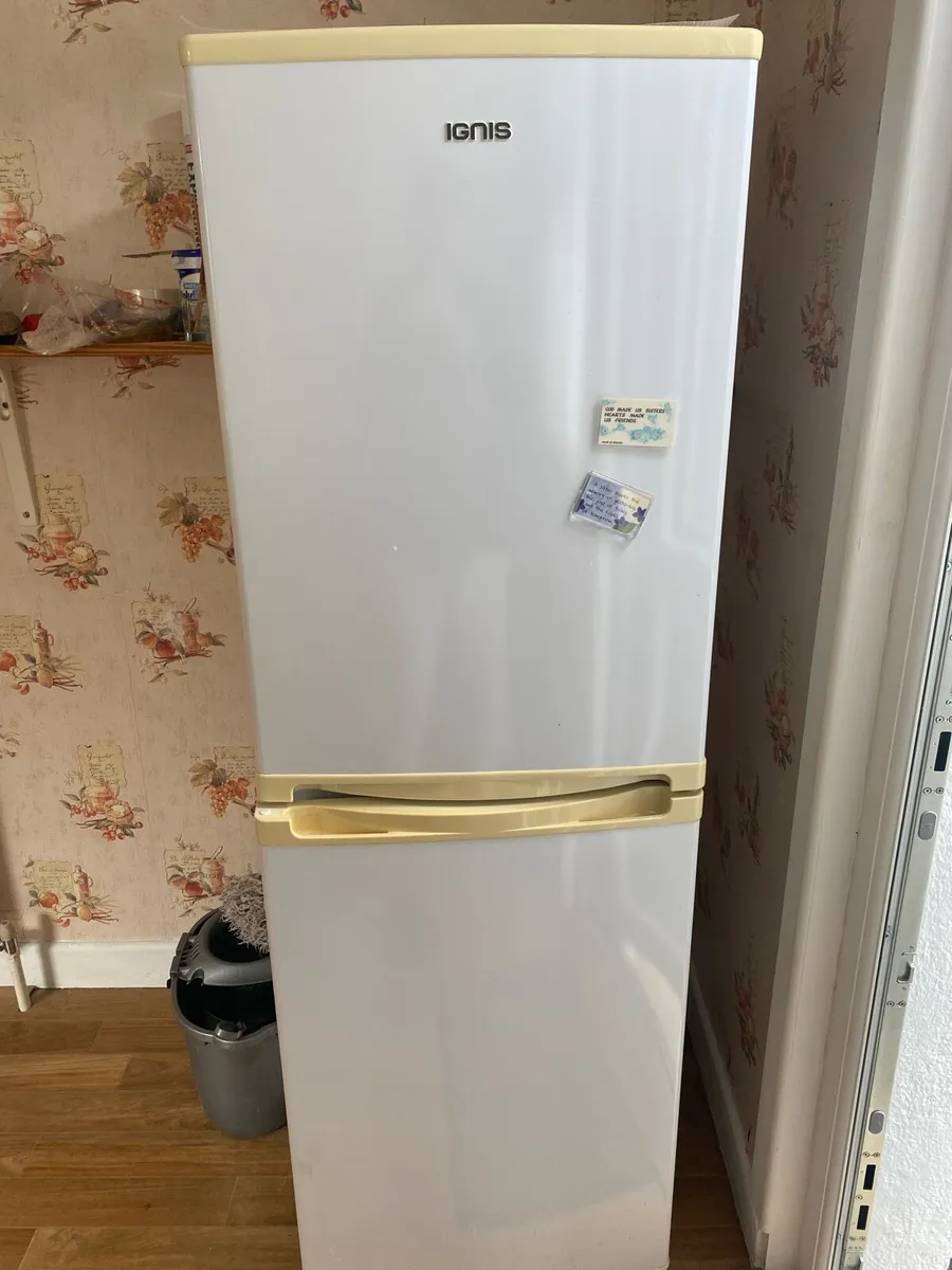 IGNIS Free Standing Fridge Freezer - Image 1