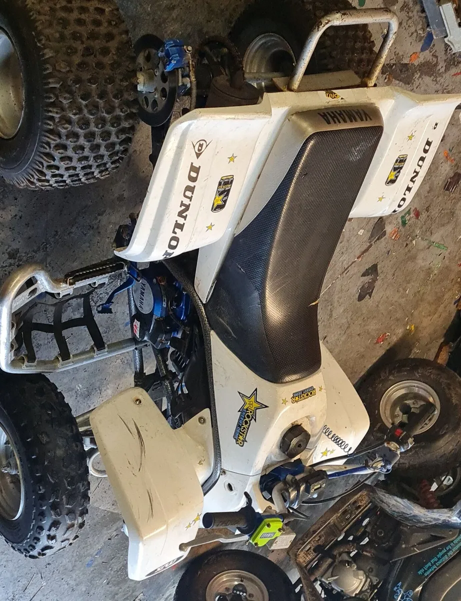 Yamaha Blaster - Image 2