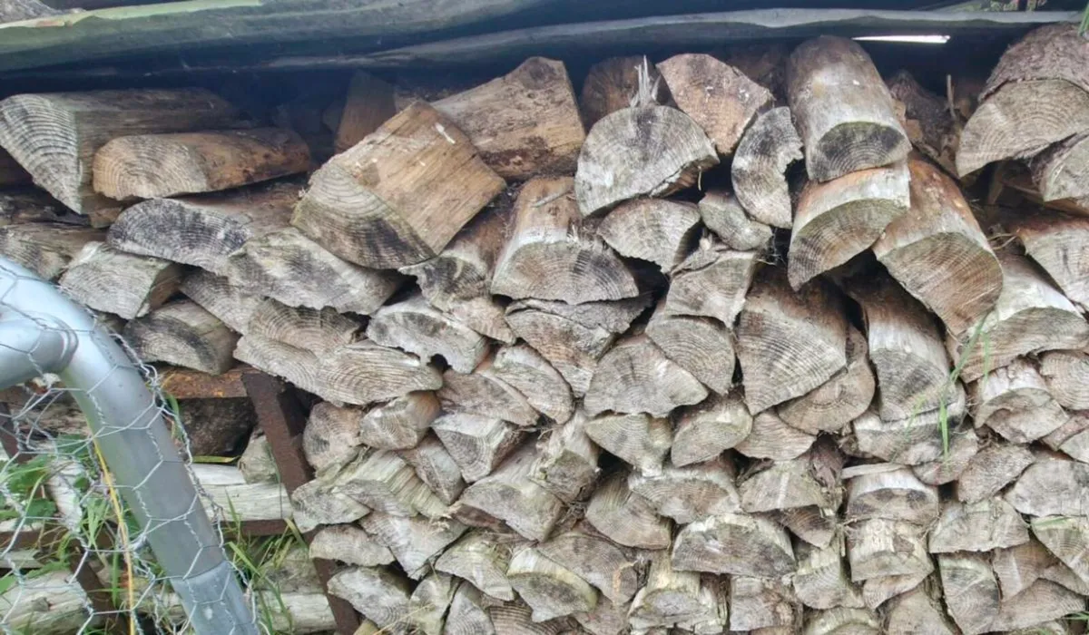 Firewood - Image 1